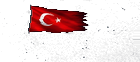 Türk Bayrağı